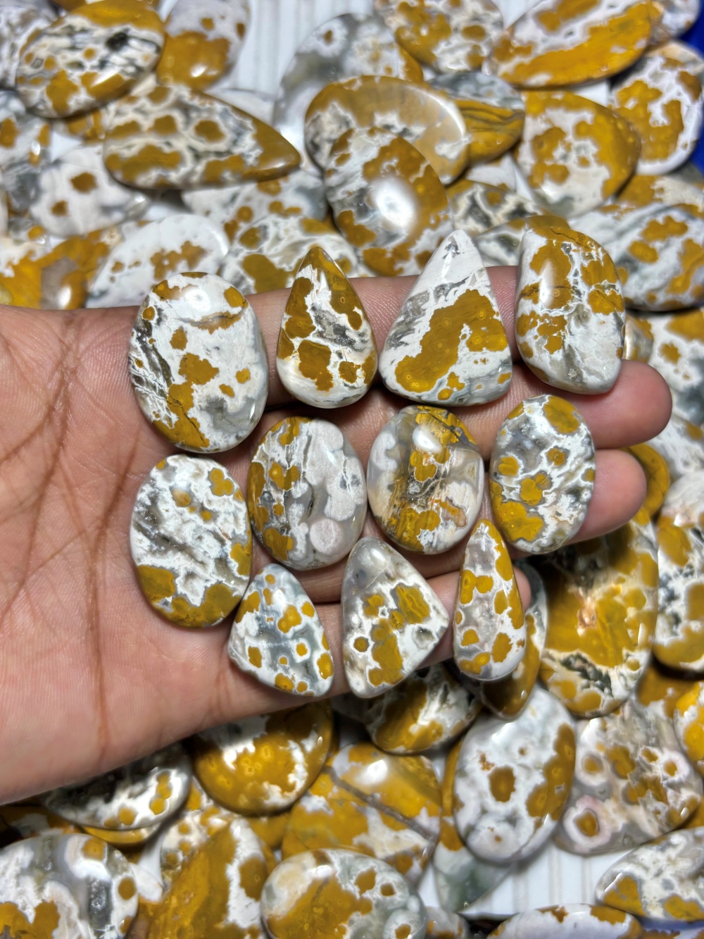 เช่นเดียวกับภาพ