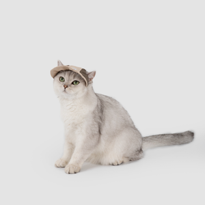 <b>Cat</b> Sunhat Lightweight Pet Sun Visor Hat Outdoor Travel <b>Cat</b> <b>Backpack</b> Accessories Breathable Pet Accessories Wholesale - Product Image 3
