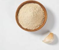 Poudre d'ail déshydratée de qualité supérieure, emballage en vrac, arôme intense, fabriqué en Inde au meilleur prix