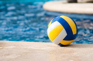 Balón de Waterpolo de Alta Calidad, Diseño Único, Balón de Voleibol Pulido a Mano con Logotipo Personalizado - Product Image 4