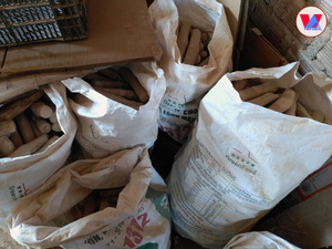 MÁS VENDIDO: Madera de café ecológica para masticar para perros, palo de madera natural de Java para limpieza dental, juguete duradero para mascotas, exportación de Vietnam - Product Image 4