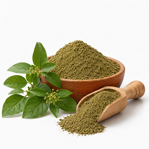 Extracto de Gudmar, Extracto de Plantas Herbales Naturales, Calidad Premium, Proveedor Mayorista, Fabricante, Exportador - Product Image 1