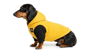 Soft <b>Dog</b> <b>Hoodies</b> Offering Warmth Comfort Breathable Fabric And Modern Style Perfect For Daily Wear Travel Walks And Outdoor Fun - Product Image 3