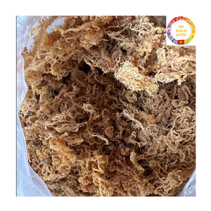 Mousse de mer séchée |   Qualité Océanique Fraîche |   Algues marines naturelles |   Vente en gros en vrac Vietnam - Product Image 4