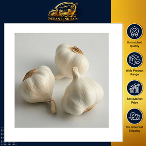 Premium <b>Fresh</b> White Garlic Bulbs Carefully Selected for Cooking Seasoning Food Processing and Global Bulk Distribution - Product Image 2