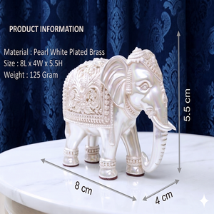 Handcrafted Silver Plated <b>Elephant</b> Trunk Down <b>Decorative</b> Idol Premium Metal Statue for Home Office Temple and Gifting - Product Image 4