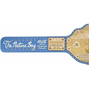 Premium OEM Champion Belt Custom Wrestling Boxing MMA Championship Title Belt Leather Strap Gold <b>Metal</b> <b>Plates</b> Custom Logo - Product Image 2