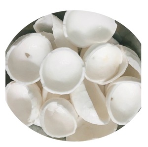 Premium IQF Frozen Coconut <b>Dices</b> for Beverages and Food Processing - Product Image 3