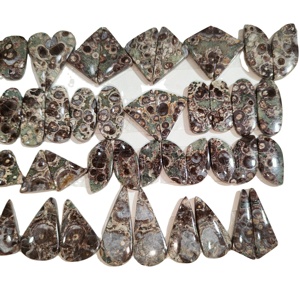 Agate de Turritella naturelle fossile en vrac pour boucles d'oreilles - Mélange de formes semi-précieuses 10-25mm 3-5g Apprécié par un tiers Khushi - Product Image 2