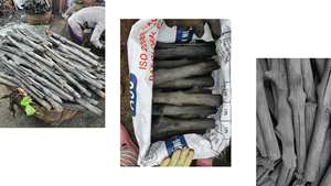 Charbon de bois de mangue de haute qualité du Vietnam – Aspect noir naturel, chaleur forte et stable, faible émission de fumée - Product Image 5