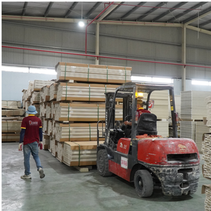 Dewoo Portes composites modernes en WPC Matériau en PVC avec modèles variés pour un usage domestique Expérience de fabrication au Vietnam - Product Image 2