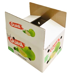 OEM 5-Layer Printed Offset Recycled Paper Self Erecting <b>Boxes</b> for Fruit Packaging Air Sea Express Shipping Agriculture Use - Product Image 4