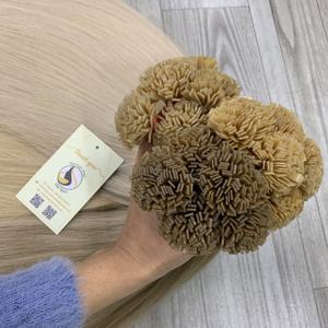 100% cheveux humains pré collés kératine pointe Double dessiné cheveux humains platine vietnamien extensions de cheveux humains - Product Image 3