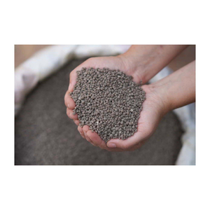 Superphosphate pur pour la production de cultures en serre, granulés de superphosphate pur de qualité supérieure pour la nutrition des cultures - Product Image 4