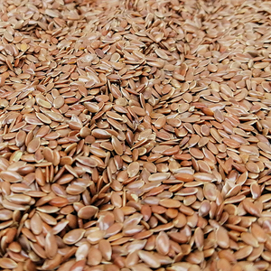Graines de lin de qualité supérieure prêtes à être expédiées, qualité alimentaire, approvisionnement en vrac, fabricant exportateur de premier plan - Product Image 4