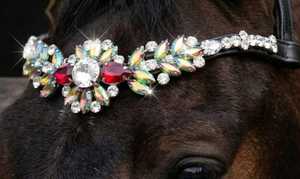 Al por mayor: Brida de cuero de caballo Rub International 7860B cómoda con cristales y pedrería, colores y tamaños personalizados, fabricación OEM - Product Image 2