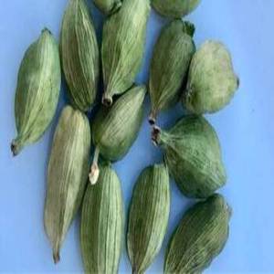 Cardamomo Verde de la India, Vainas Enteras Premium, Cosecha Fresca, Aroma Intenso, Sabor Natural, Especia de Gujarat, 1 kg, Venta al por Mayor Global - Product Image 5