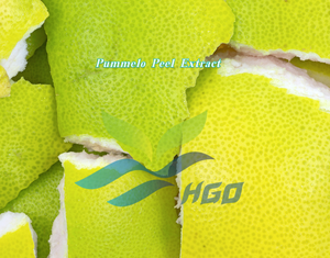 Extrait de peau de pomelo pur naturel de qualité alimentaire, fourni directement par l'usine HGO, spécifications 5:1, 10:1, 20:1 - Product Image 2