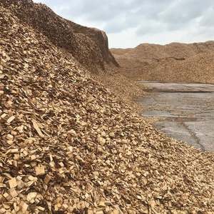 Fournisseur en gros de copeaux de bois au meilleur prix avec livraison rapide Produits liés à l'énergie - Product Image 4