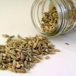 Fournisseur en gros <span class=keywords><strong>de</strong></span> poudre <span class=keywords><strong>de</strong></span> <span class=keywords><strong>fenouil</strong></span> en Inde |   Graines <span class=keywords><strong>de</strong></span> <span class=keywords><strong>fenouil</strong></span> moulues 100% pures |   OEM et Marque Privée - Product Image 1