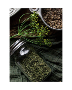 Semillas de Diente de León, Variedad Tradicional, Sin GMO, 25 Semillas, Hierba Fresca o Seca, Cultive Su Propia Hierba Fresca - Product Image 1