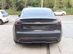 2025 Te sla Model 3 RWD - Product Image 3
