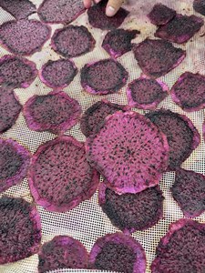Fruits du dragon séchés de qualité supérieure, procédé AD, tranchés, goût sucré, naturels du Vietnam, vente en gros - Mme Tarina - Product Image 5