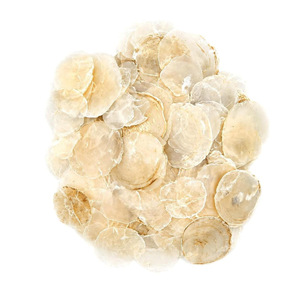 Discos planos de concha de capiz de Vietnam, venta al por mayor de fábrica, conchas marinas naturales, discos redondos de conchas marinas - Product Image 2