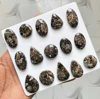 Lot en gros d'agates cabochons TURRITELLA au poids, avec différentes formes et tailles, utilisées pour la fabrication de bijoux, pierre TURRITELLA