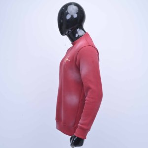 Sweat-shirt d'hiver pour homme de qualité supérieure avec logo personnalisé brodé sur la poitrine, en coton molletonné délavé, écologique - Product Image 4