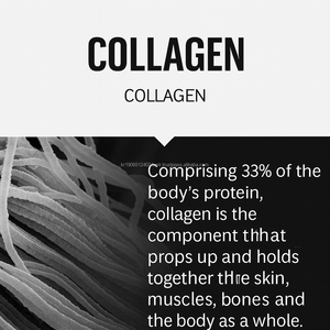 <b>Collagen</b> Tripeptide Powder 300g Korean OEM Private Label Service - Product Image 2