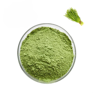 OEM Bulk Supply <b>Wheat</b> Grass Powder 100% Pure & Natural Triticum Aestivum Green Superfood Powder for Support Energy and Vitality - Product Image 3