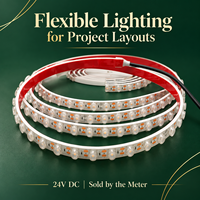 Bande LED flexible 24V DC 2835 pour éclairage mural extérieur IP65, blanc, angle de faisceau 120°, PCB en cuivre pur pour façades intérieures