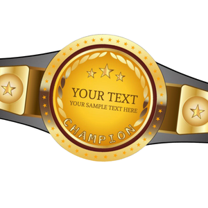 Cinturón de Campeonato Personalizable, Cinturón de Lucha Libre Dorado con Espacio para Texto Personalizado, Correa Negra de Alta Calidad y Diseño de Estrella - Product Image 3