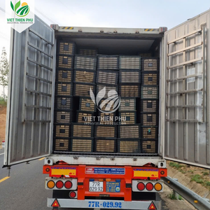 VIET THIEN PHU |   PULPA DE FRUTA DE LA PASIÓN CONGELADA PREMIUM IQF ENVASADA AL VACÍO ESTÁNDAR DE EXPORTACIÓN DE VIETNAM - Product Image 6