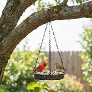 Mangeoire à oiseaux en fer pour l'extérieur Mangeoire à oiseaux suspendue en métal à bas prix avec graines d'arachides pour le jardin - Product Image 6