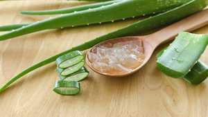 Jus d'aloe vera d'Ojistha Industries, durée de conservation de 36 mois, boisson saine pour un style de vie équilibré, provenant du Jharkhand, à conserver au frais et à l'abri de la lumière. - Product Image 2