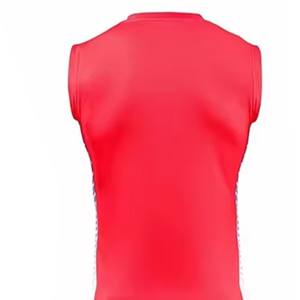 Uniforme de volley-ball pour hommes entièrement personnalisé, respirant, en spandex léger, de haute qualité, style parfait, prix raisonnable, unique - Product Image 6