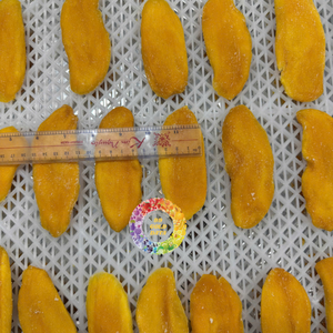 Mango Seco Natural Suave, Snack Premium de Fruta Tropical, Mango en Rodajas Dulce Envasado al Vacío, Snack Saludable y Conveniente para el Día a Día CARYLN - Product Image 4