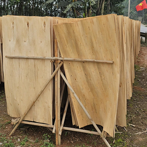 Chapa de Madera de Caucho de Vietnam 100% Natural, Ecológica y Duradera, Corte Rotatorio, para Fabricación de Madera Contrachapada - Product Image 1