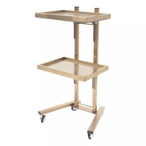 Chariot de salon en or à 2 niveaux avec double plateau de rangement en acier inoxydable pour spa de beauté - Product Image 2
