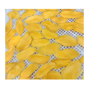 Convenient Soft Dried Mango Tropical Fruit Snack Large Volume Wholesale Product And Export Vietnam - Product Image 1