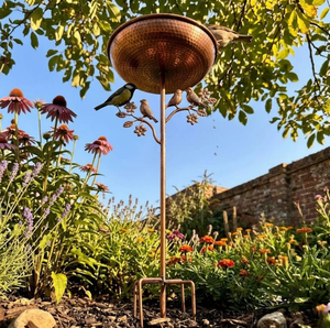 Meilleur Bain d'oiseaux élégant et respectueux des oiseaux pour jardin, en métal, bol en cuivre avec support en fer, couleur noire, fait main - Product Image 4