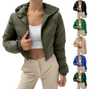Bubble <b>Puffer</b> Winter Warm Hooded <b>Jacket</b> Women Fashion Y2K <b>Cropped</b> Coats Long Sleeve Outerwear Zipper Casual Parkas Padded Coat - Product Image 1