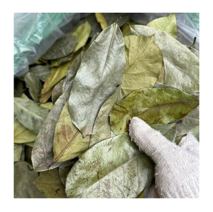 ใบชื่นชมพู่แห้งเกรดส่งออก วัตถุดิบธรรมชาติจากแหล่งผลิตดั้งเดิม สำหรับอุตสาหกรรมอาหาร จัดจำหน่ายจำนวนมาก บรรจุภัณฑ์แบบมืออาชีพ พร้อมบริการวันนี้ - Product Image 1