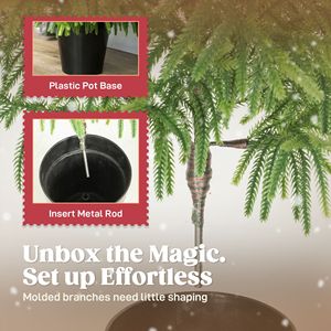 ต้นคริสต์มาส Norflok Pine สูง 4 ฟุต ชุด 2 ต้น พร้อมปลายกิ่งแบบขึ้นรูป 133 จุด ฐานกระถาง ประกอบง่าย สีเขียว ต้นคริสต์มาสประดิษฐ์ - Product Image 6