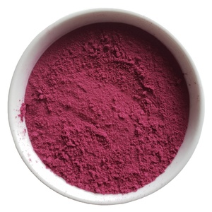 Polvo de arándanos 100% natural, el más vendido, polvo de arándanos liofilizado, utilizado en helados, postres, dulces y pudines. - Product Image 2
