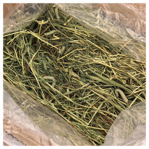 Heno de Timothy Natural de Primera Calidad para Alimentación Animal, Grado de Exportación, Heno de Timothy Seco con Alto Contenido de Fibra para Caballos y Conejos - Product Image 5