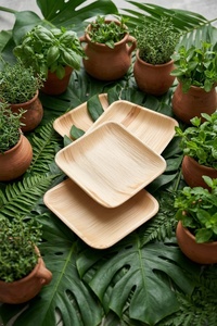 Assiettes en fibre de coco robustes, 10 pouces, design carré, lot de 25 pièces, naturelles, jetables, pour fêtes et collations - Product Image 1