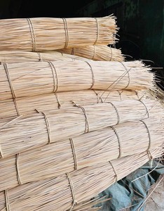 Premium Peeled Rattan Sticks | Rattan Manau Cane Peeled-Strength For Furniture & Handicrafts | Eco Friendly Export Material - Product Image 2